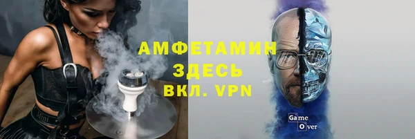 крисы Каменногорск