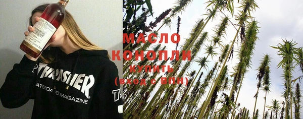 крисы Каменногорск