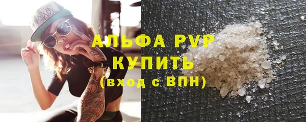 крисы Каменногорск