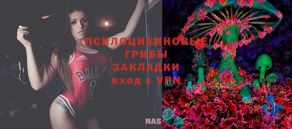 крисы Каменногорск