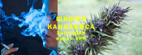 крисы Каменногорск