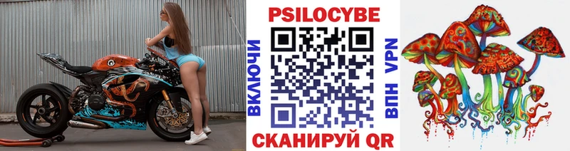 MEGA ссылки  что такое   Сурск  Галлюциногенные грибы мицелий 