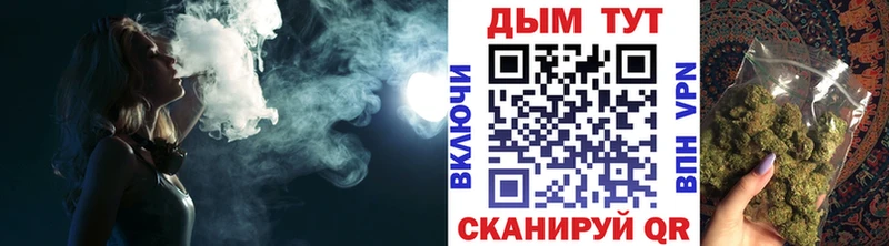 где купить наркотик  Сурск  Марихуана сатива 